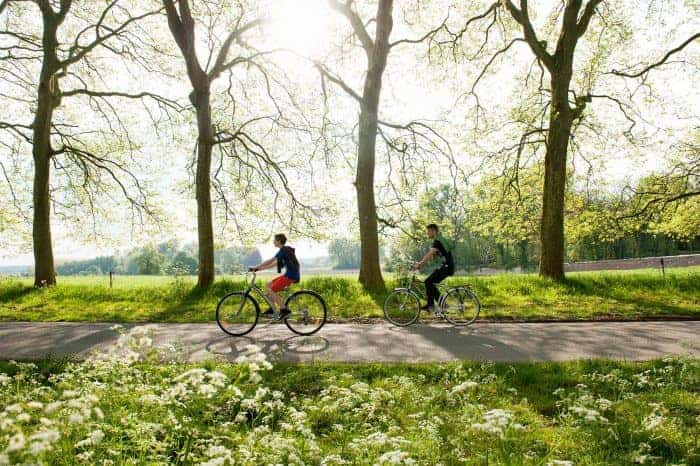 Parc d’activité économique POLARIS : 52 ha de terrains industriels disponibles !