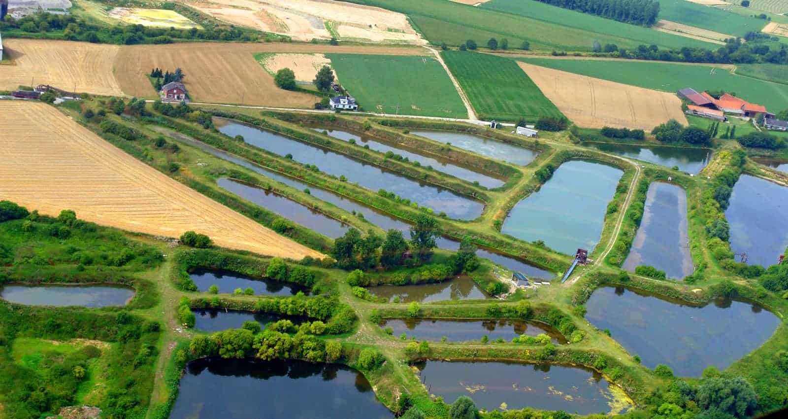 Le partenariat entre IDETA et les communes de Wallonie picarde porte ses fruits