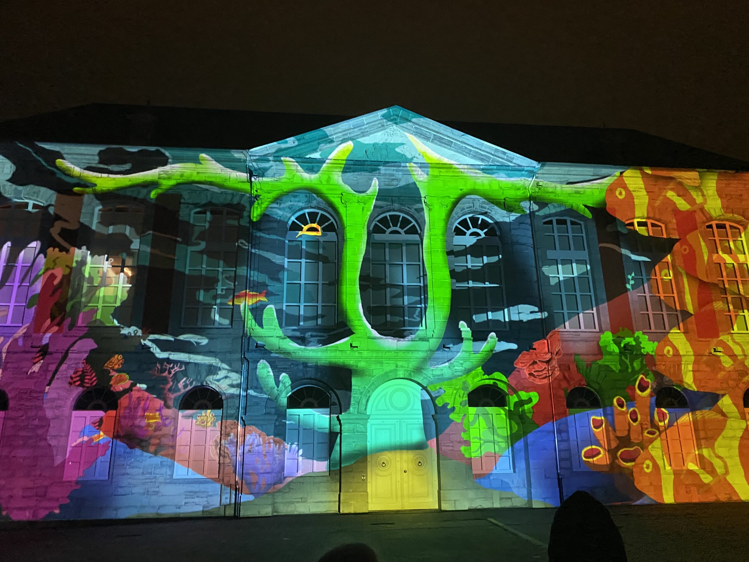 Video mapping sur la façade du Carré Janson 